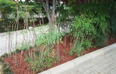 有机覆盖物装扮绿城郑州