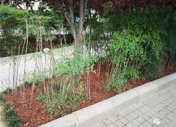 有机覆盖物装扮绿城郑州