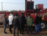  覆盖物 - 绿色产业新发展