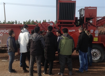 覆盖物 - 绿色产业新发展