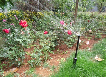 亨特灌溉扮靓昆明长水国际机场