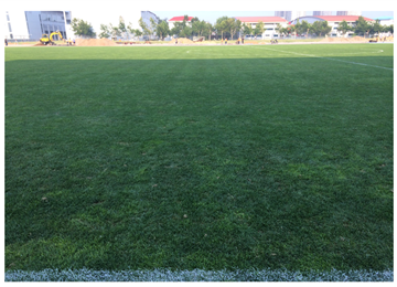 秦皇岛国家足球训练基地