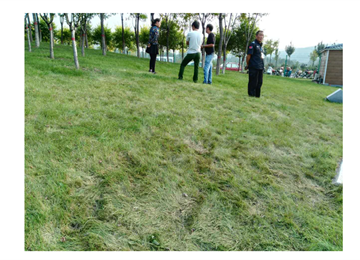 太原灵石森林公园