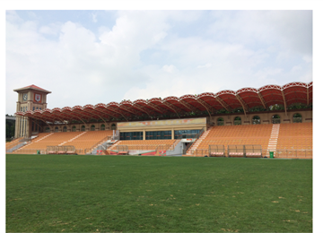 山东球场案例分析