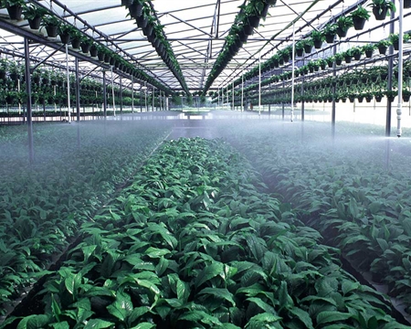 T-Spray 散射喷头