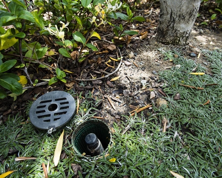 RZWS 乔灌木根部灌水器