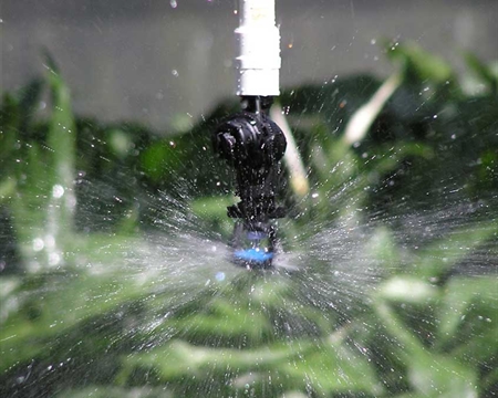 I-mini-Wobbler  摇摆喷头