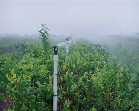 Wobbler  摇摆喷头