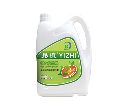 易植12号  树木抗蒸腾