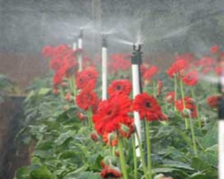 Mini-Wobbler 摇摆喷头