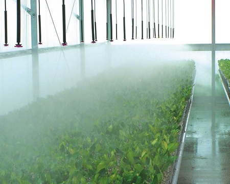 Mister 薄雾喷头 倒置型