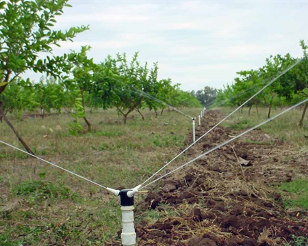 Triad 三射流喷头