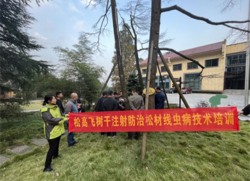 重庆缙云山国家级自然保护区管理局电动树干打孔注药防治松材线虫病项目