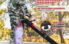 奥林匹克森林公园杨柳飞絮防治现场会