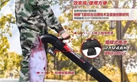 北京奥林匹克森林公园杨柳飞絮防治现场会